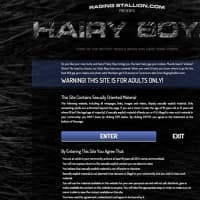 hairyboyz.ragingstallion.com